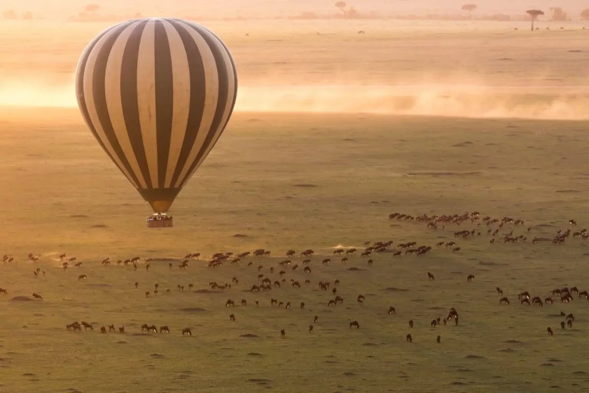 Luxury hot air balloon safari over the Serengeti at sunrise with wildlife in Tanzania